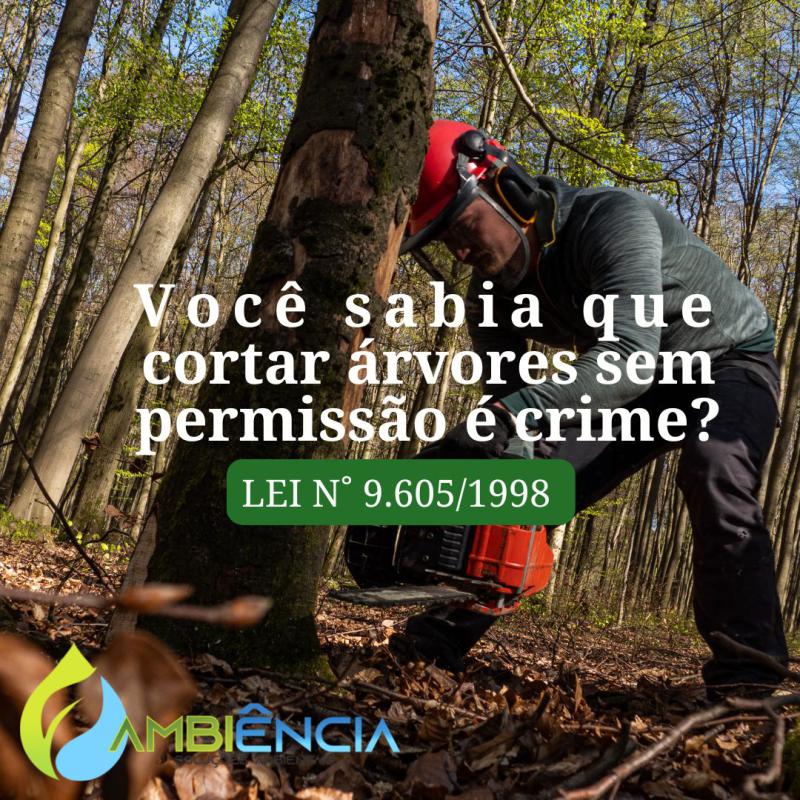 Você conhece a Lei de Crimes Ambientais?